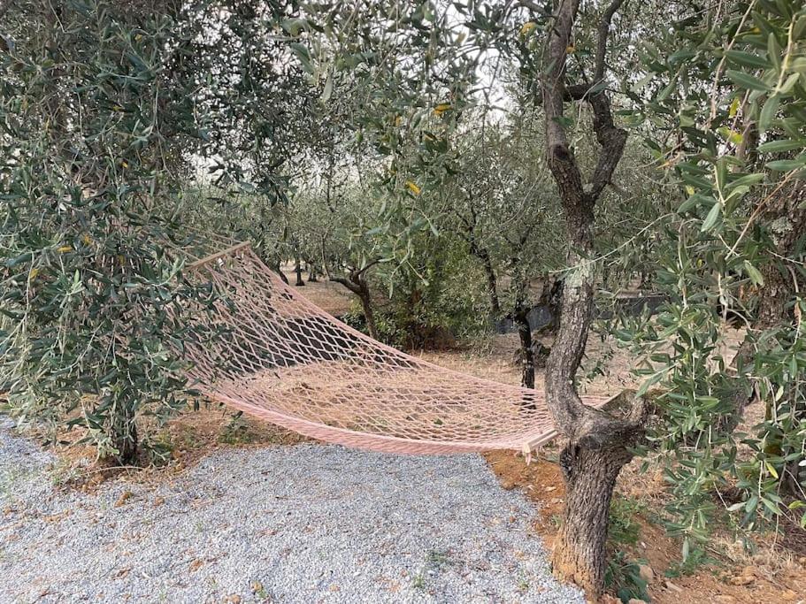 Il Fienile Di Alberto E Costanza Lucca Exterior foto