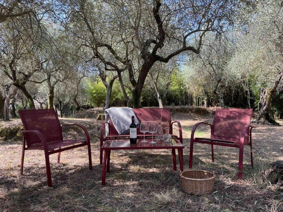 Il Fienile Di Alberto E Costanza Lucca Exterior foto